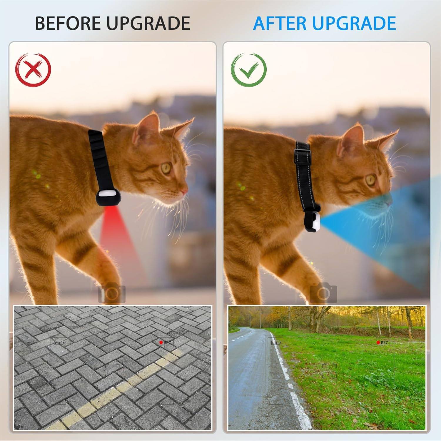 Phonery TailTrail ® Pet Collar Camera-Getphonery