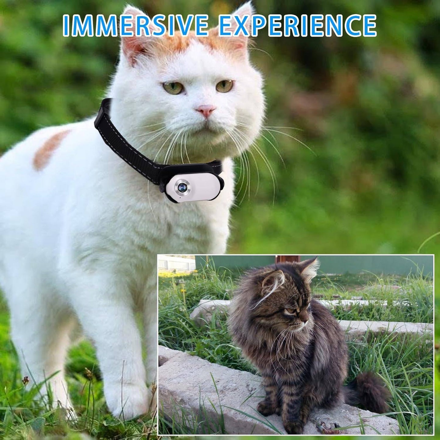 Phonery TailTrail ® Pet Collar Camera-Getphonery