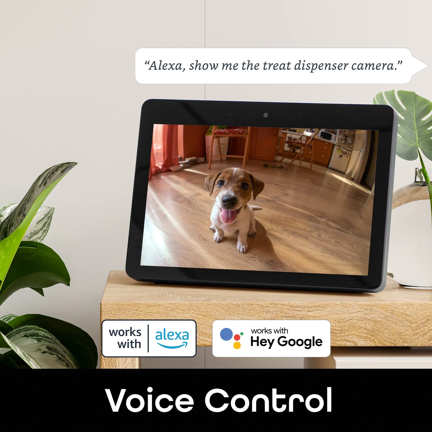 Phonery Pawsome ® Smart Automatic Pet Feeder-Getphonery