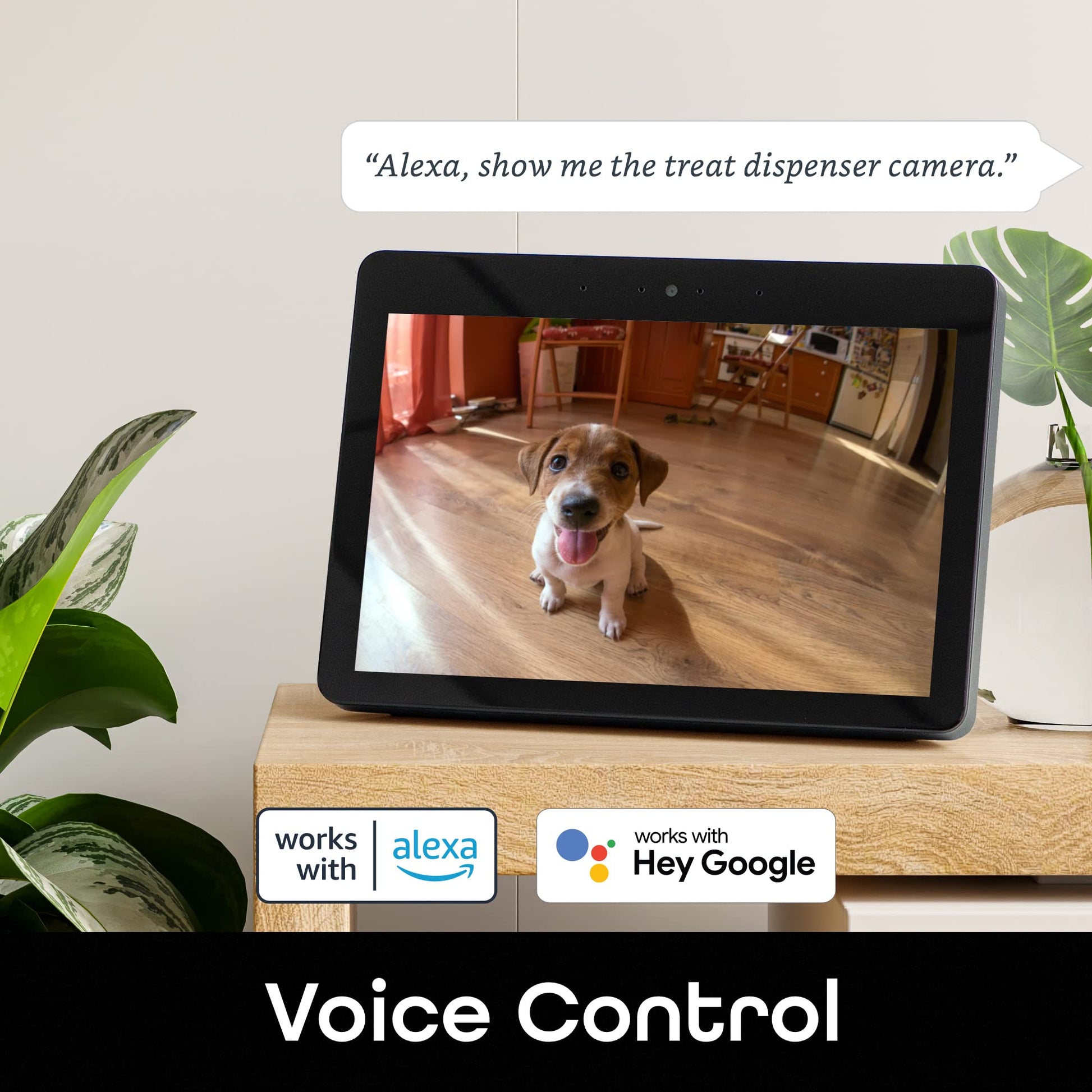 Phonery Pawsome ® Smart Automatic Pet Feeder-Getphonery