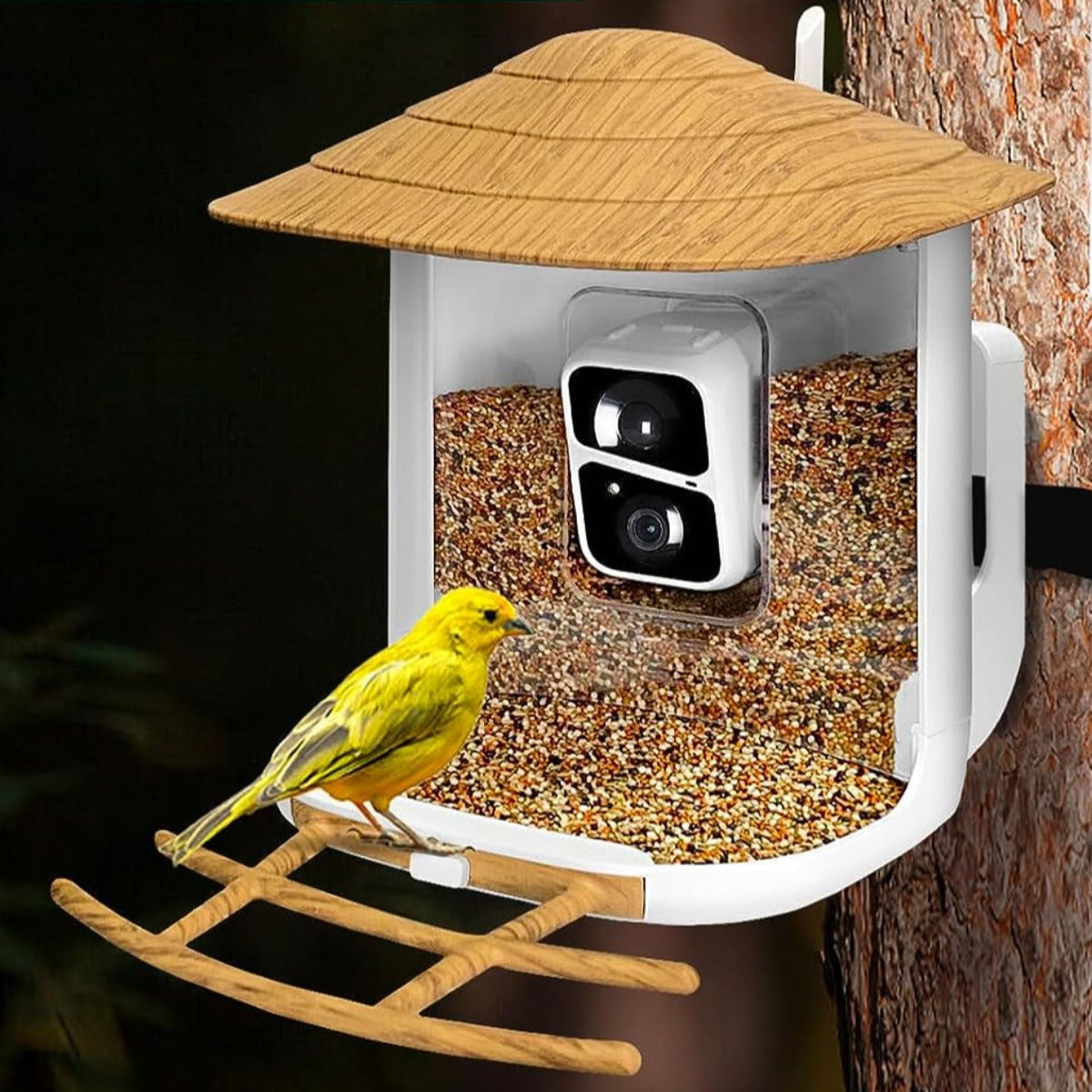 Phonery NestWatch ® Smart Bird Feeder with Camera-Getphonery