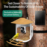 Phonery NestWatch ® Smart Bird Feeder with Camera-Getphonery