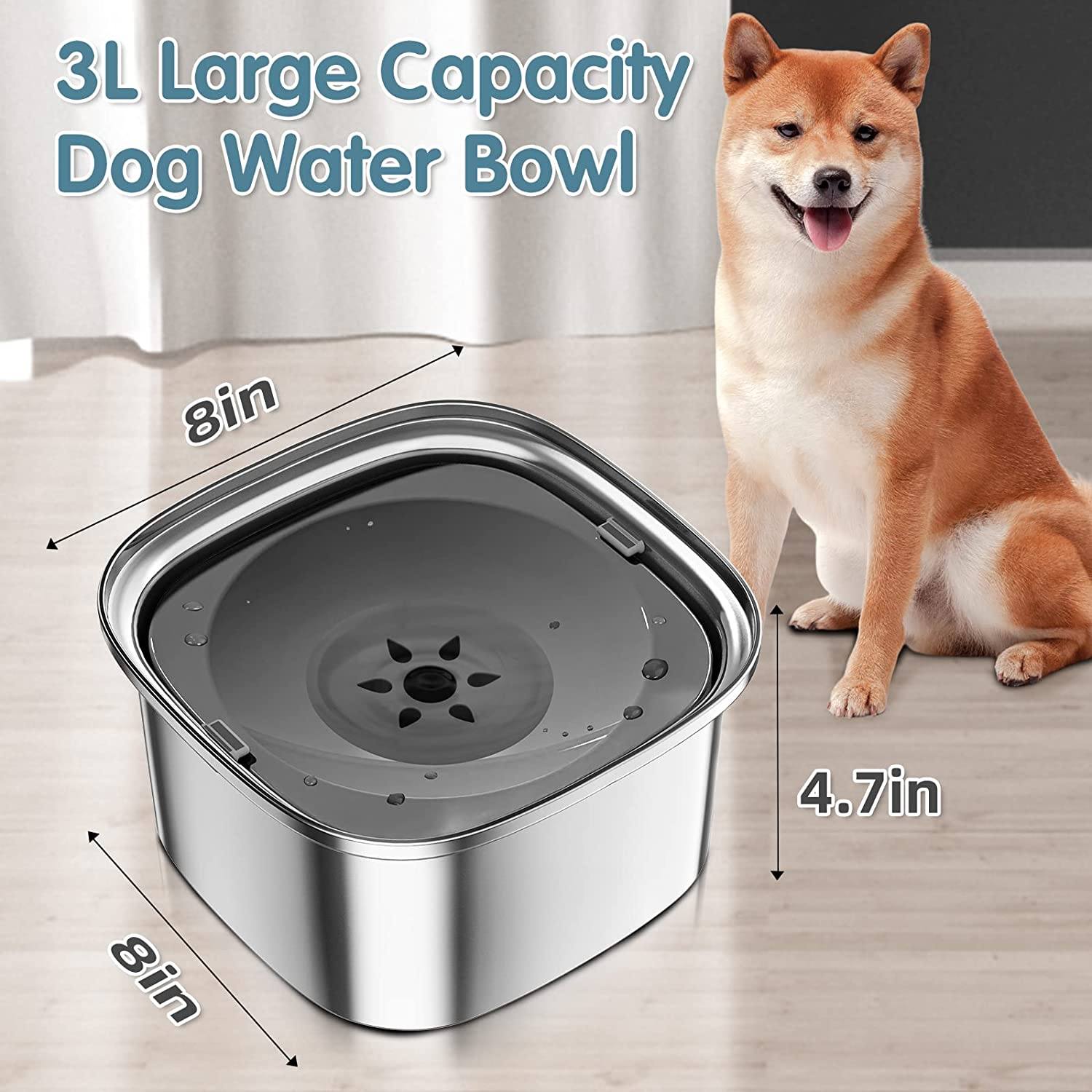 No Spill Dog Bowl