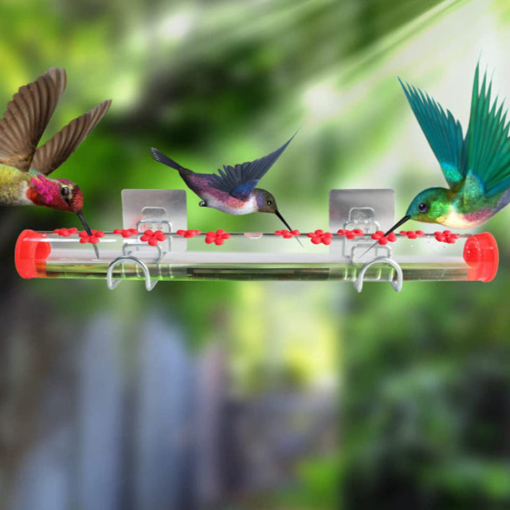Phonery Feedr ® Window Hummingbird Feeder