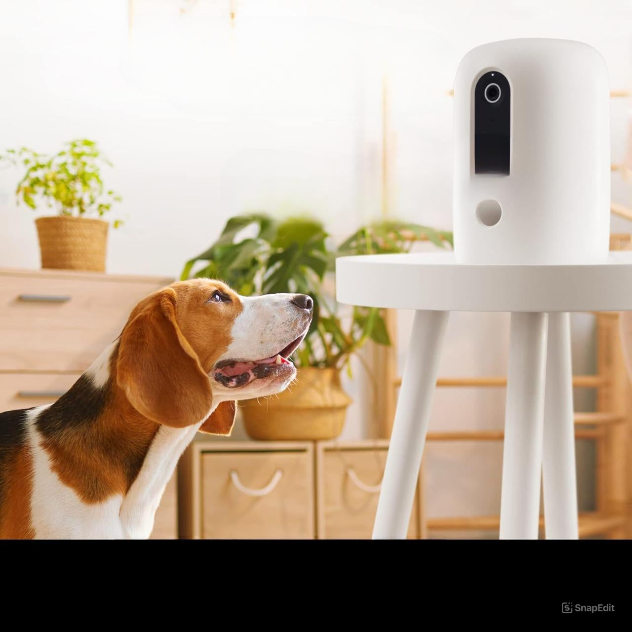 Phonery Pawsome ® Smart Automatic Pet Feeder-Getphonery