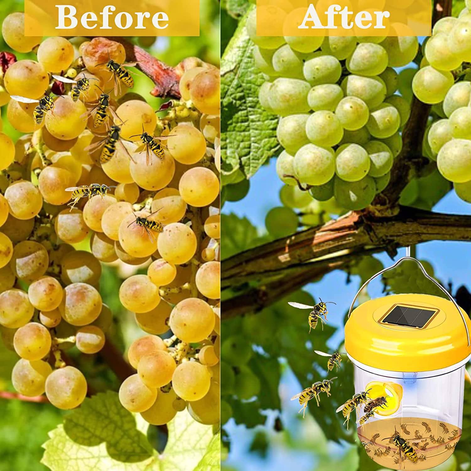 Phonery Catcher ® Solar Wasp Trap-Getphonery