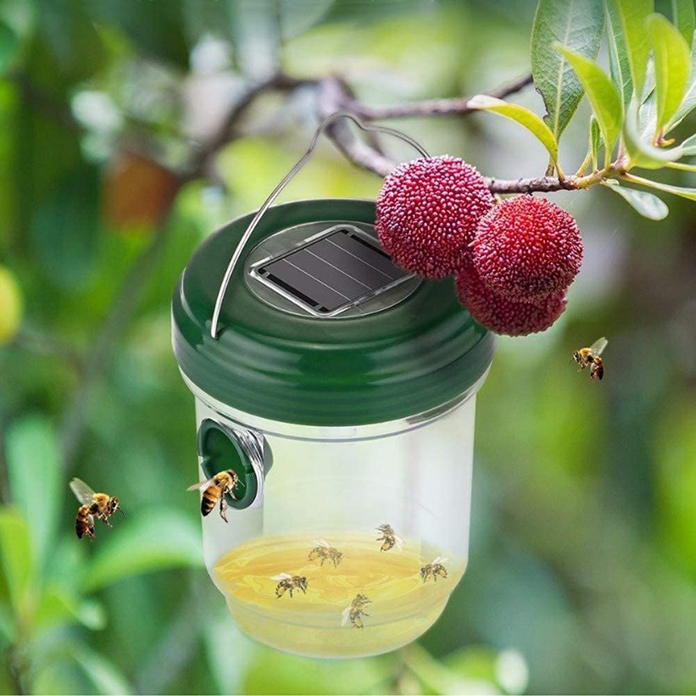 Phonery Catcher ® Solar Powered Wasp Trap-Getphonery