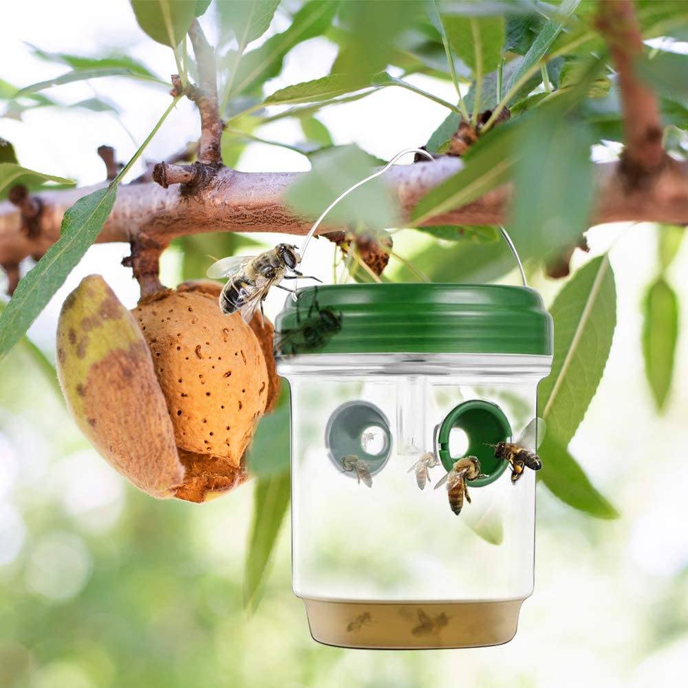 Phonery Catcher ® Solar Powered Wasp Trap-Getphonery