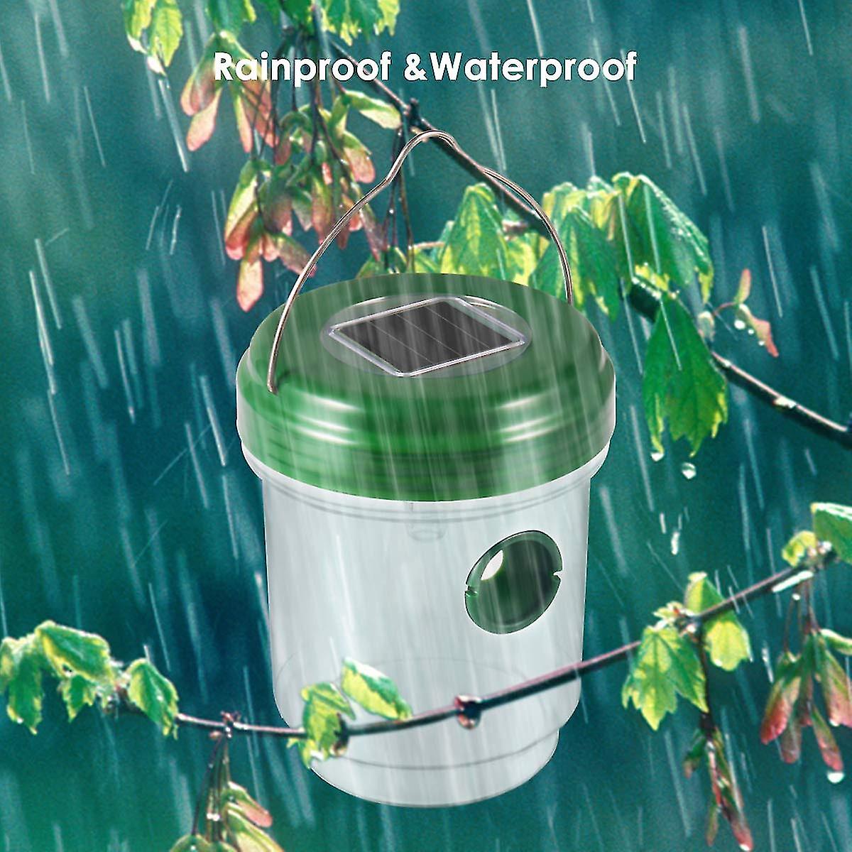 Phonery Catcher ® Solar Powered Wasp Trap-Getphonery